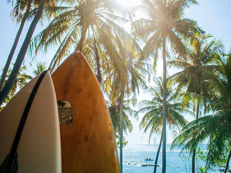 Cokes Surf Camp Maldives