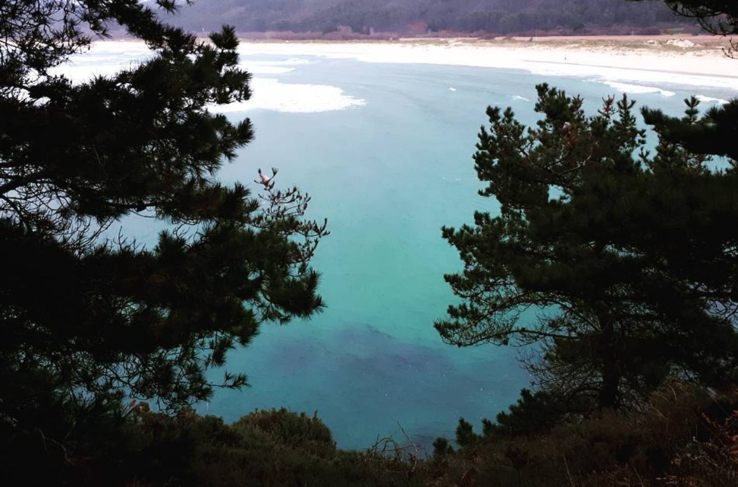 Ferrol Surf & Yoga House