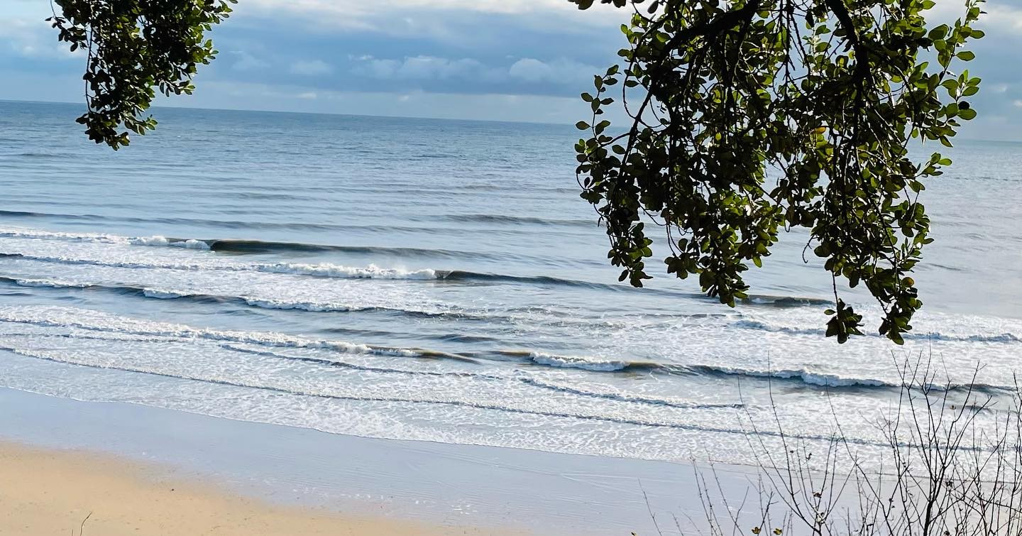 Brittas Bay Surf School