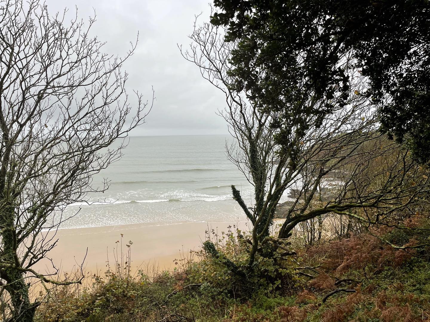 Brittas Bay Surf School