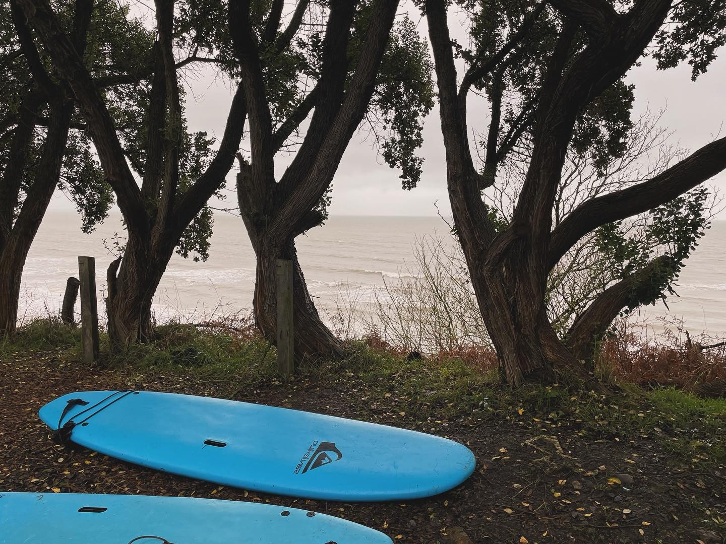 Brittas Bay Surf School