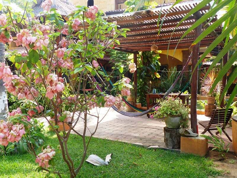 Puerto Escondido Surf House & Surf School