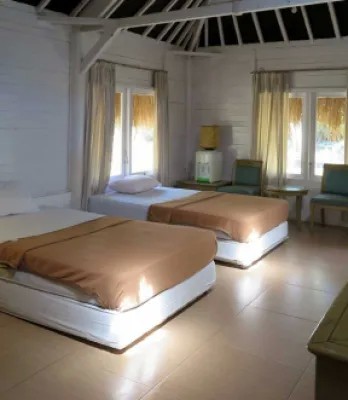 G Land Joyo'S Surf Camp