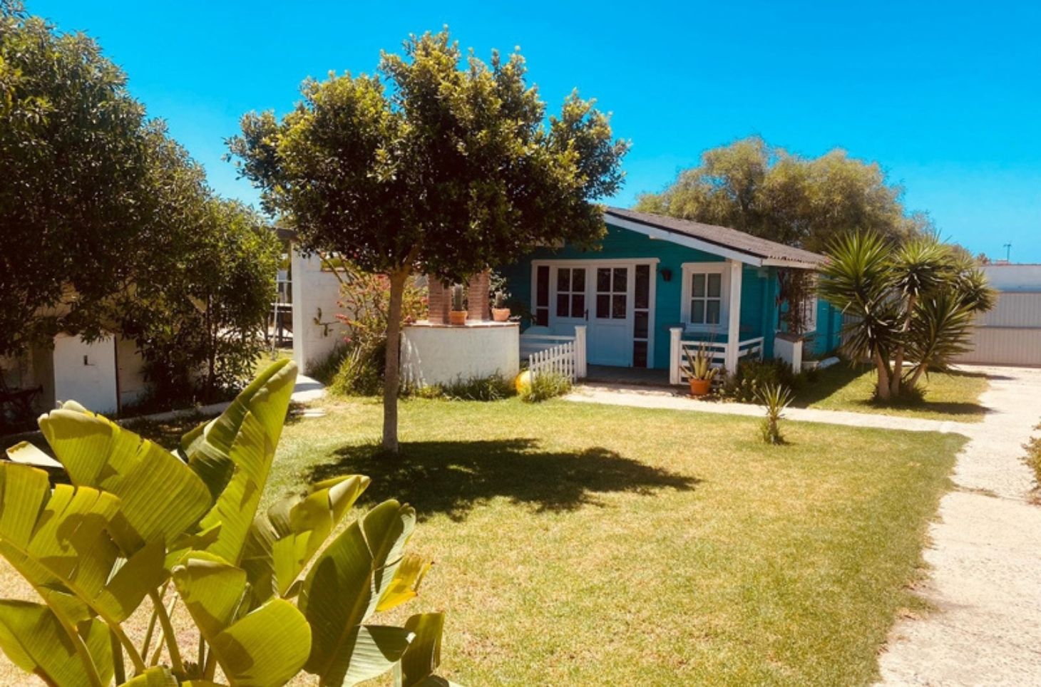 South Coast Surf School & Camp