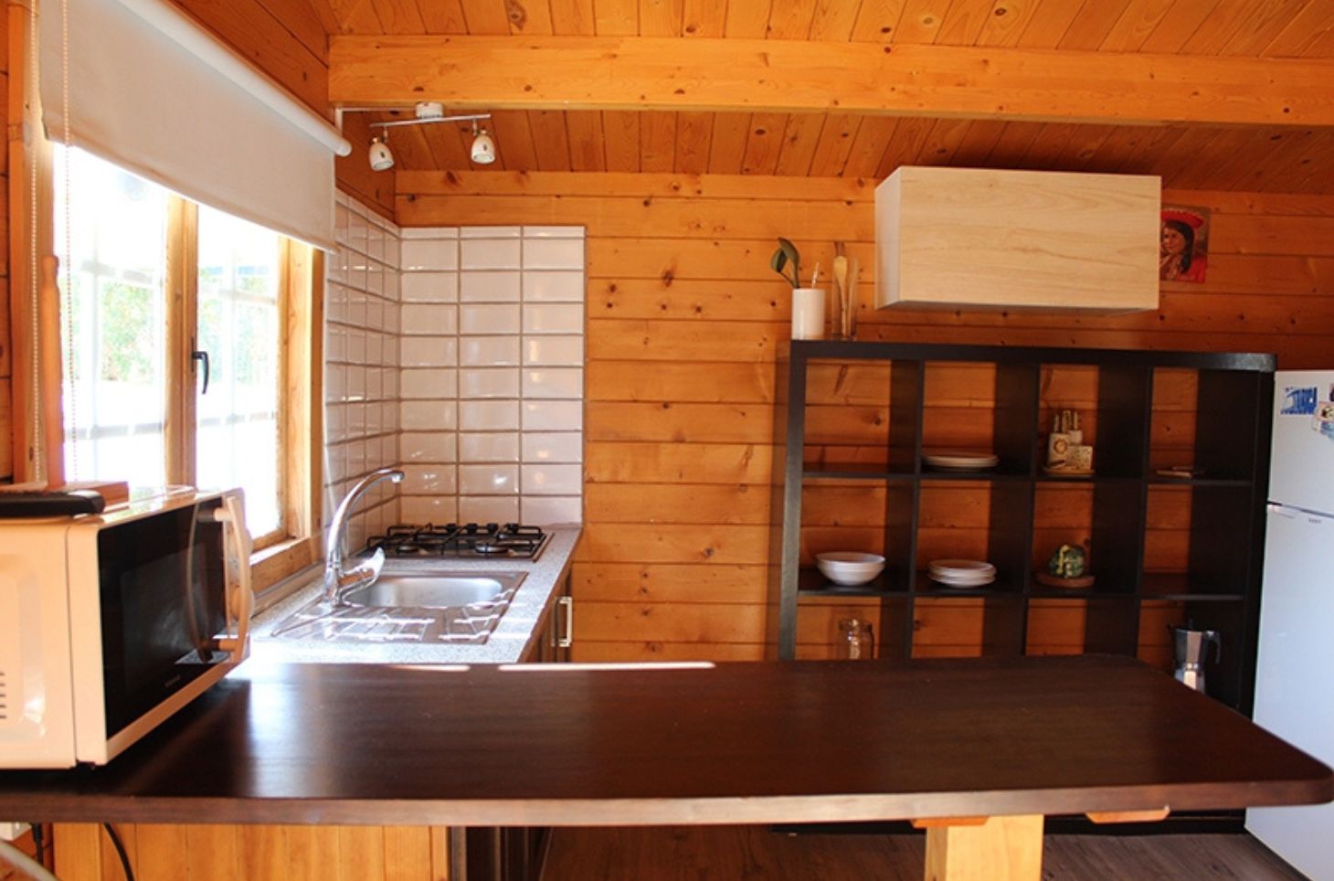 South Coast Surf School & Camp