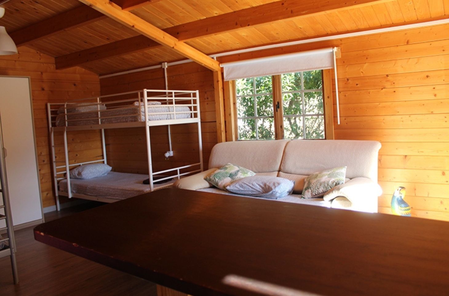 South Coast Surf School & Camp