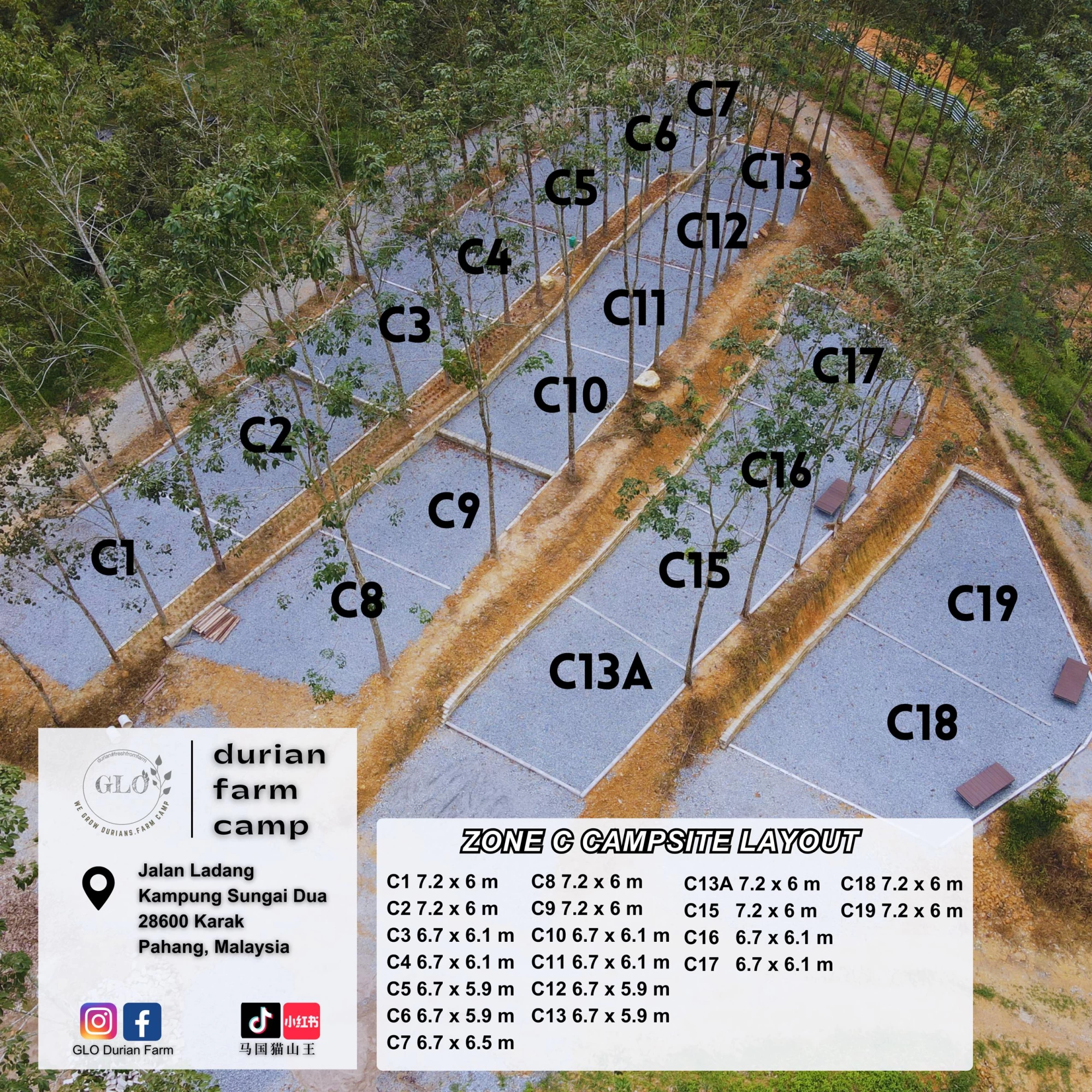 GLO Durian Farm & Camp