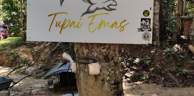 Tupai Emas Campsite