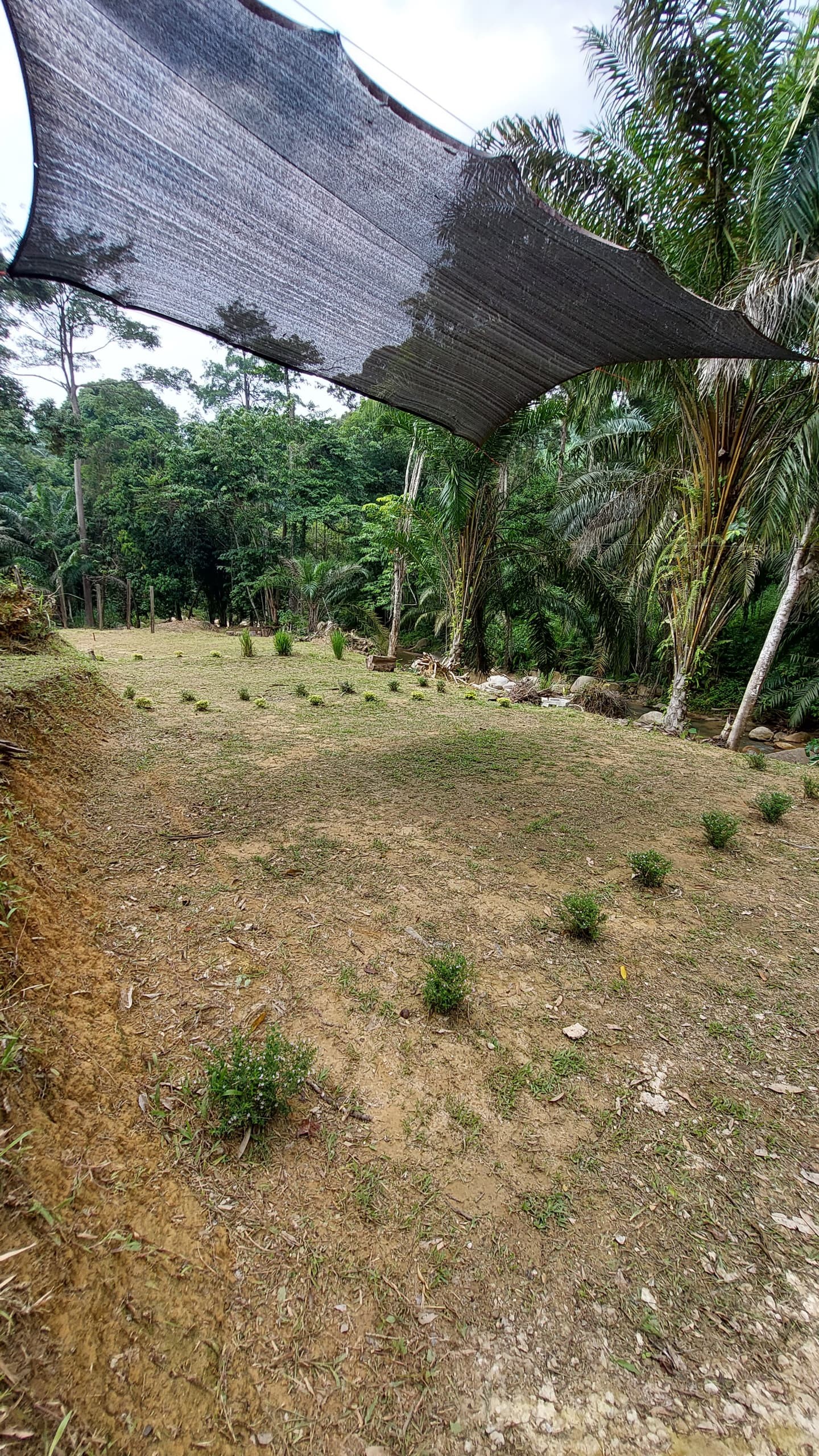 Camp Mantap - Photo 3