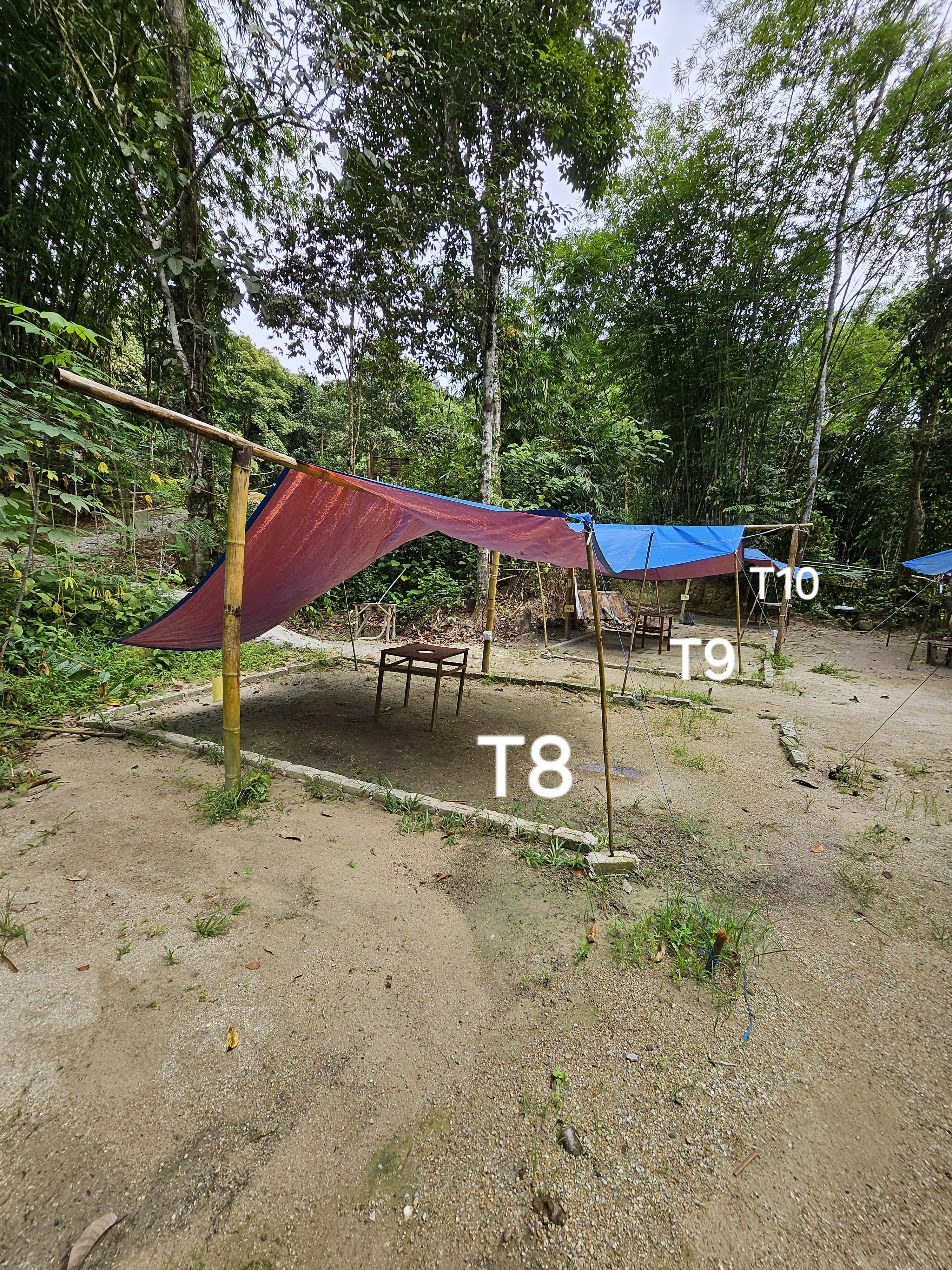 Rumpun Bamboo Campsite