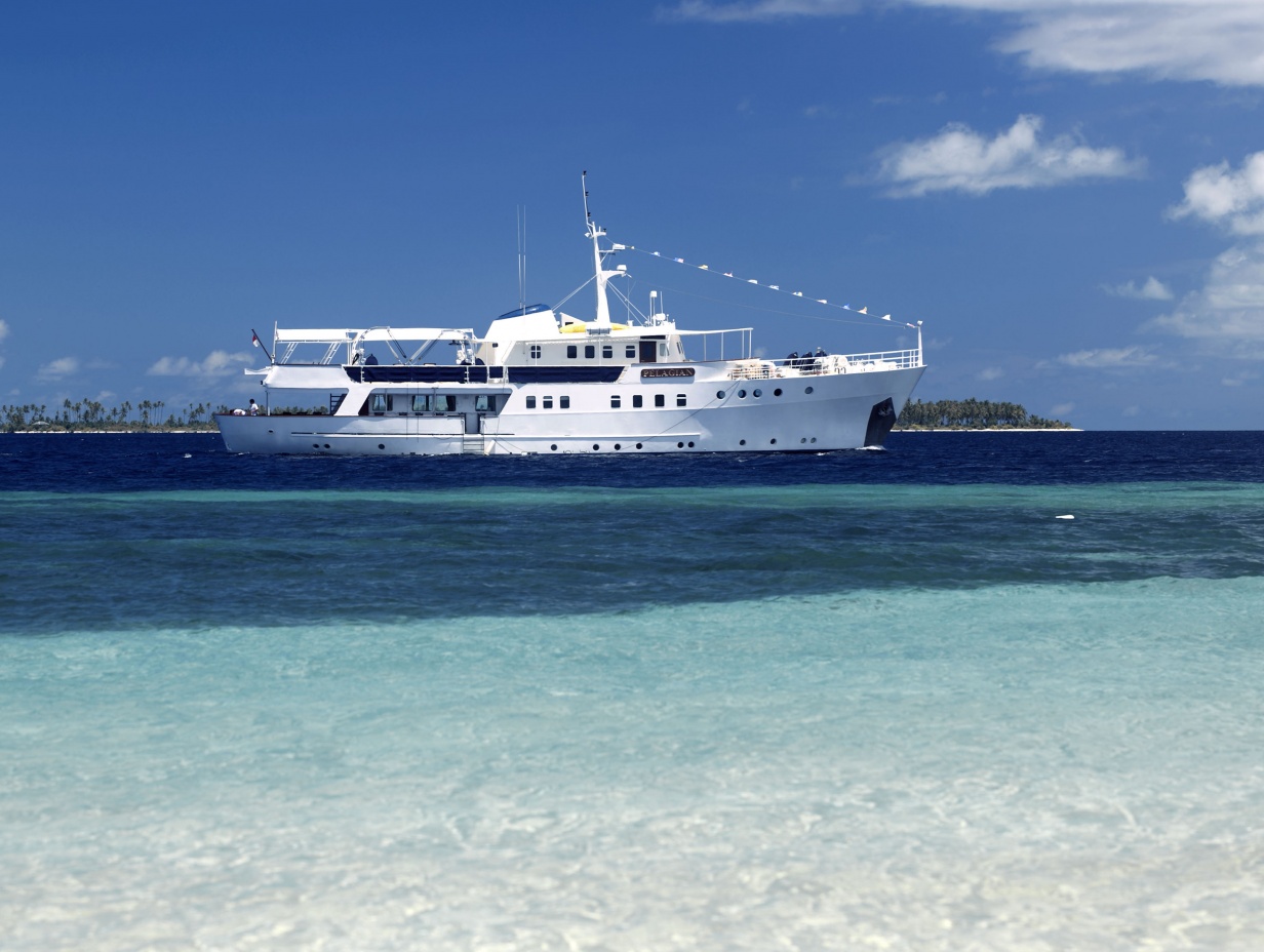 Pelagian Superyacht (pp twin share)