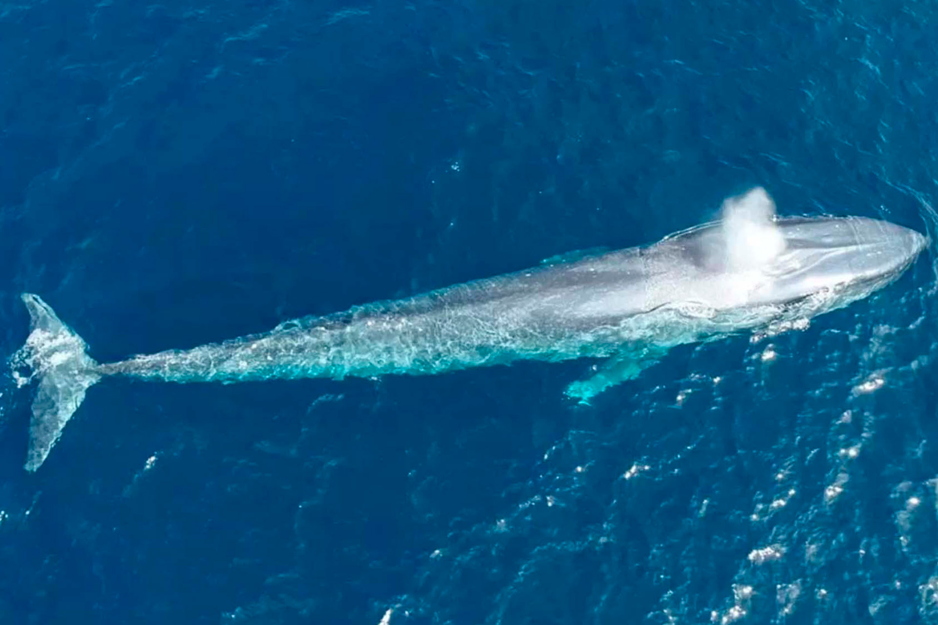 12D Banda Sea via Raja Ampat and Misool Expedition Cruise, Nov 2025