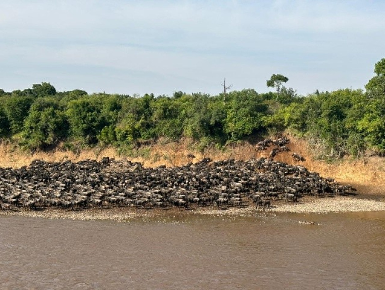 Kenyan Great Migration Safari - 5 Nights, 6 Days