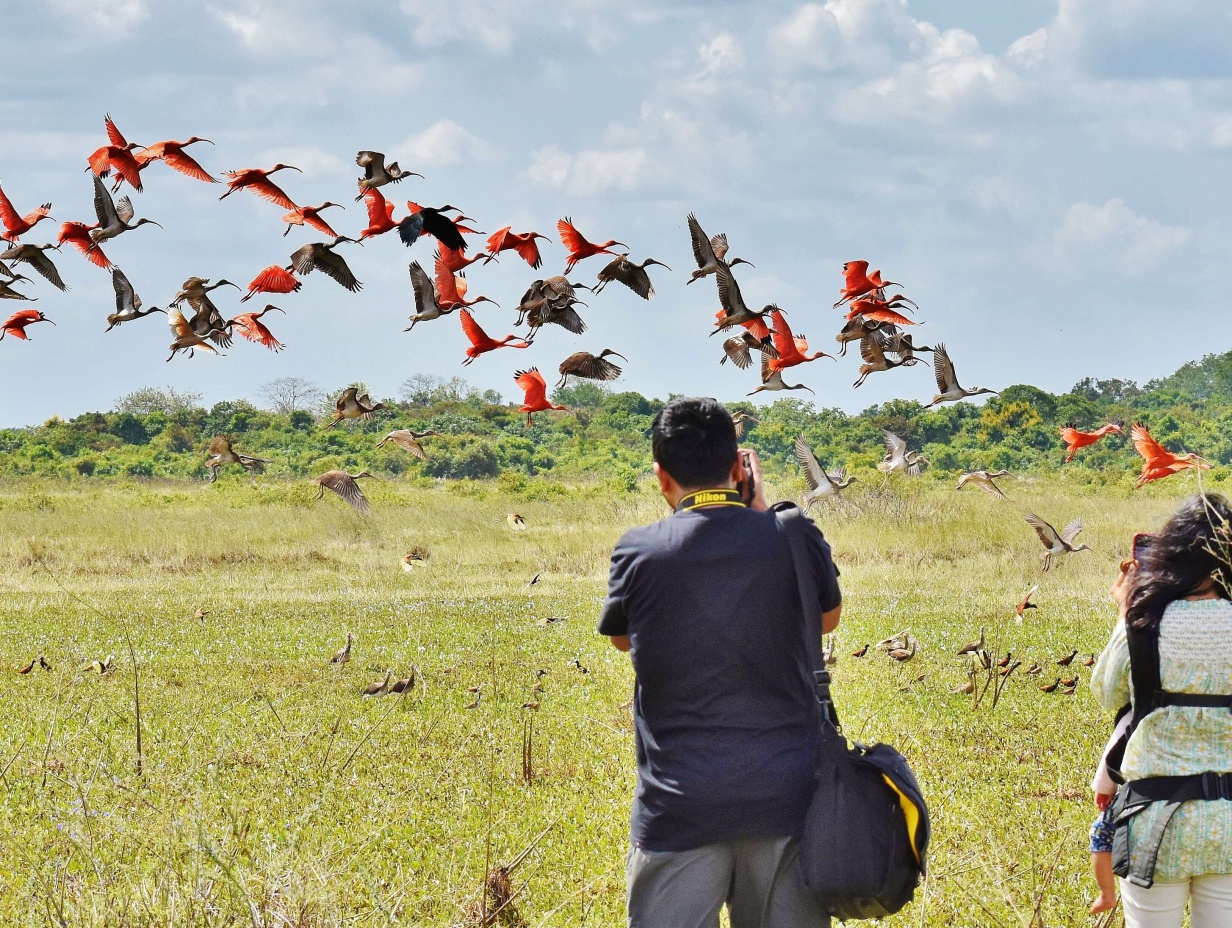 Colombia Wildlife Tour