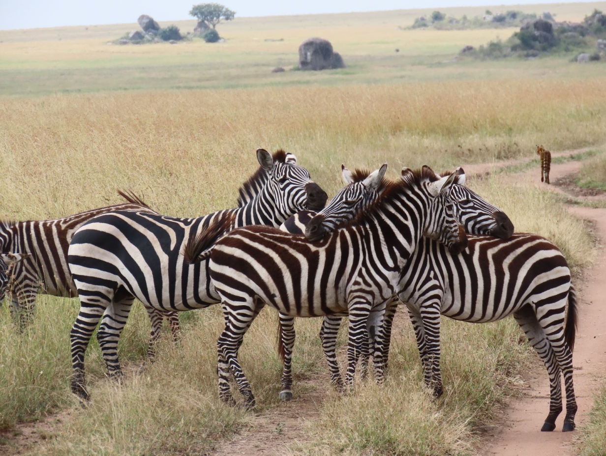 TANZANIA TOUR WITH KILIMANJARO AND ZANZIBAR