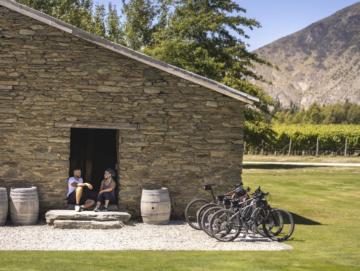 Ride to the Sky - Wine, Vines & Scenery Guided E-Bike Tour, Queenstown