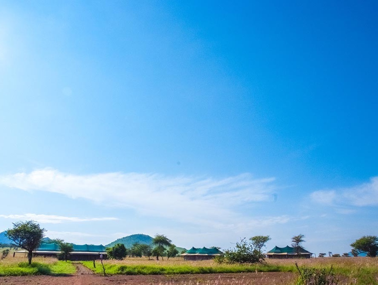 3 nights in Serengeti & Ngorongoro National Park