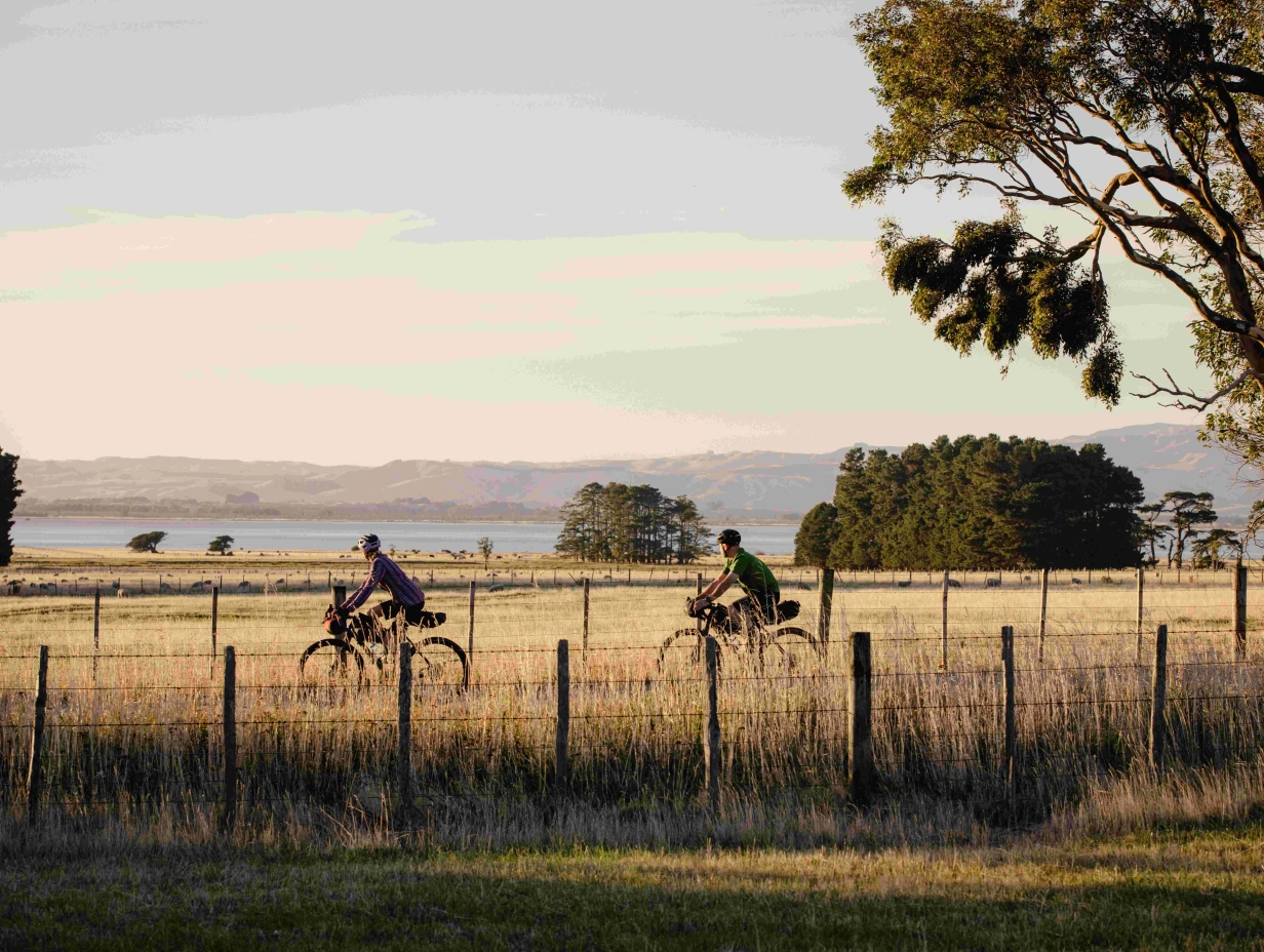Wildfinder - Remutaka Rail Trail eBike Explorer