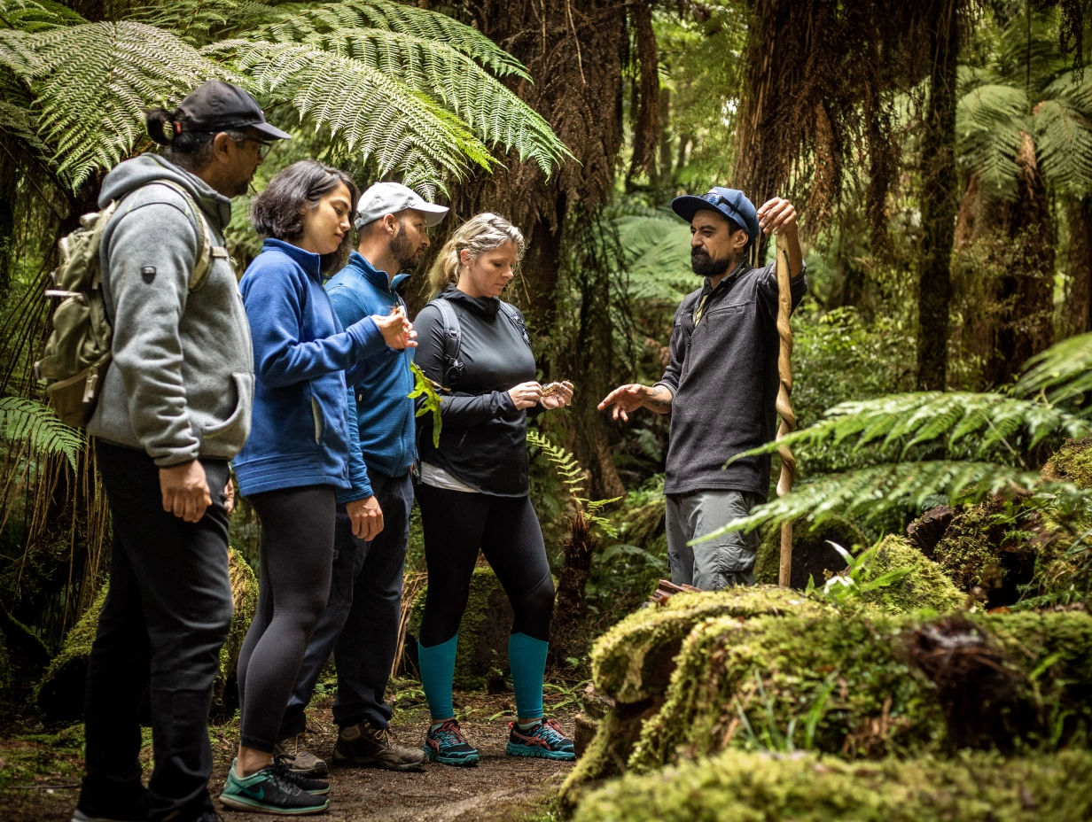 Kohutapu Lodge - Whirinaki Forest Footsteps