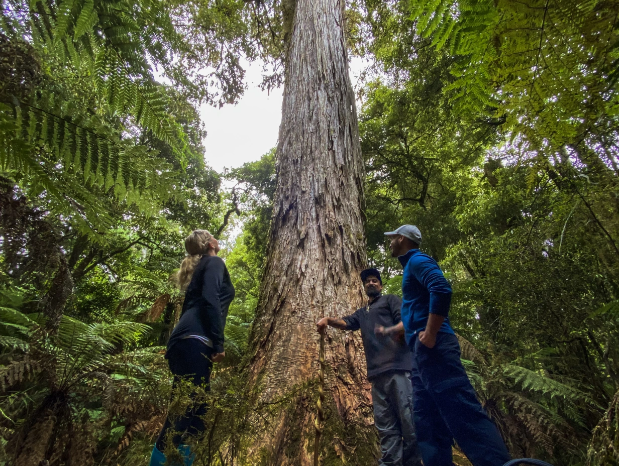 Kohutapu Lodge - Afternoon Cultural Experience