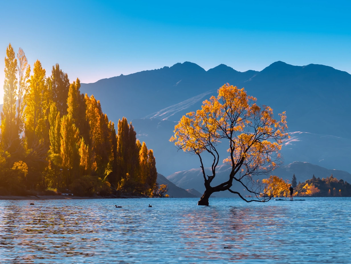 Cheeky Kiwi Travel - Franz Josef to Queenstown Tour via Wanaka (One-Way)