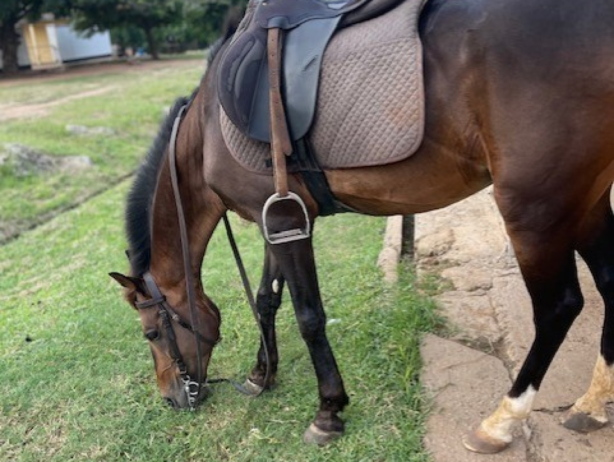 Learn to Ride in Ghana
