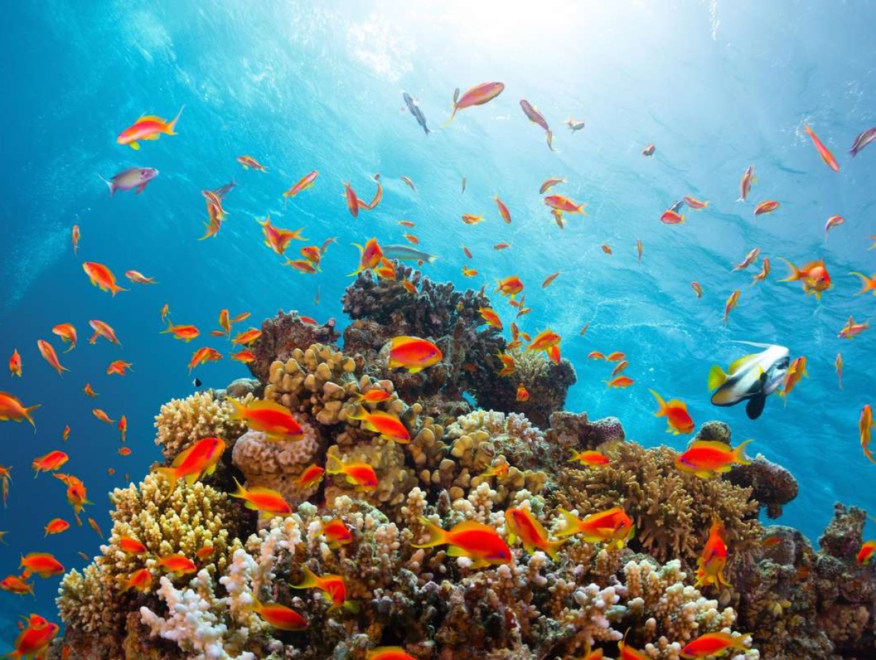 09 Days / 08 Nights - Cairo Heritage & Red Sea Escape