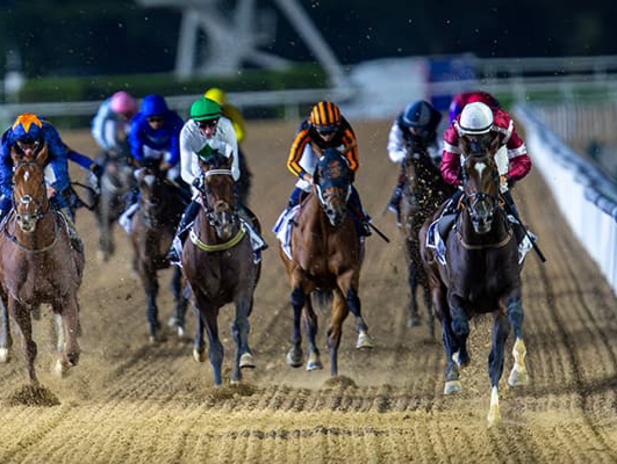 Friday 12 December 2025 Post Time 17:30 PM