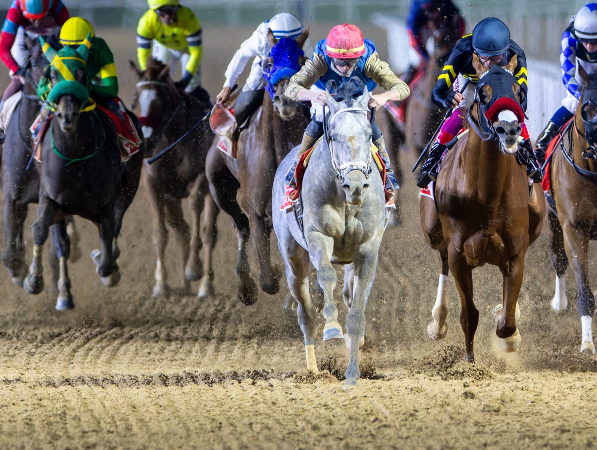 Emirates Super Saturday 28 February 2026 Post Time 17:30 PM