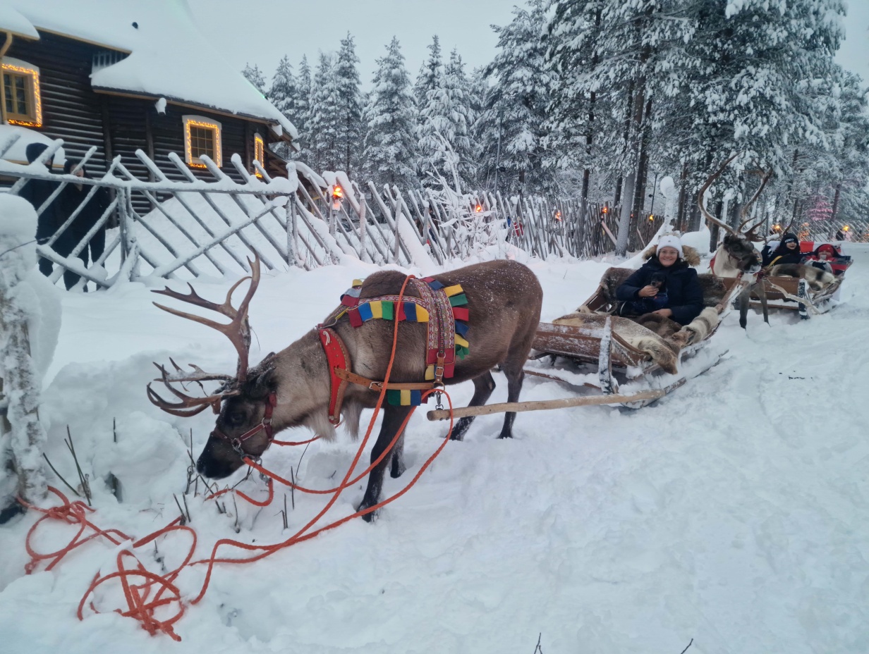 Finnland: Von Helsinki bis Rovaniemi - Nordlichter, Husky Tour, Santa Claus & Polar Express