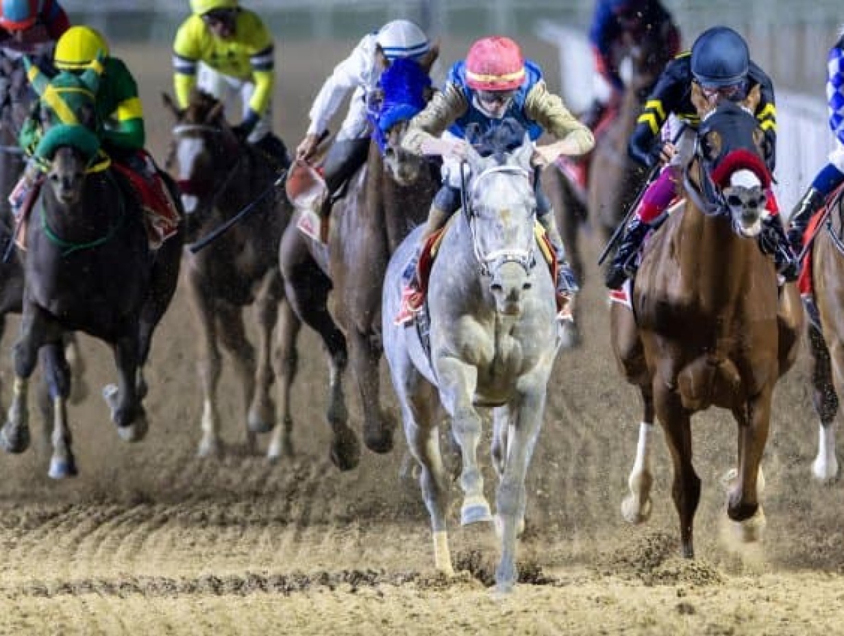 Saturday 28 March - Post Time 3:45 PM