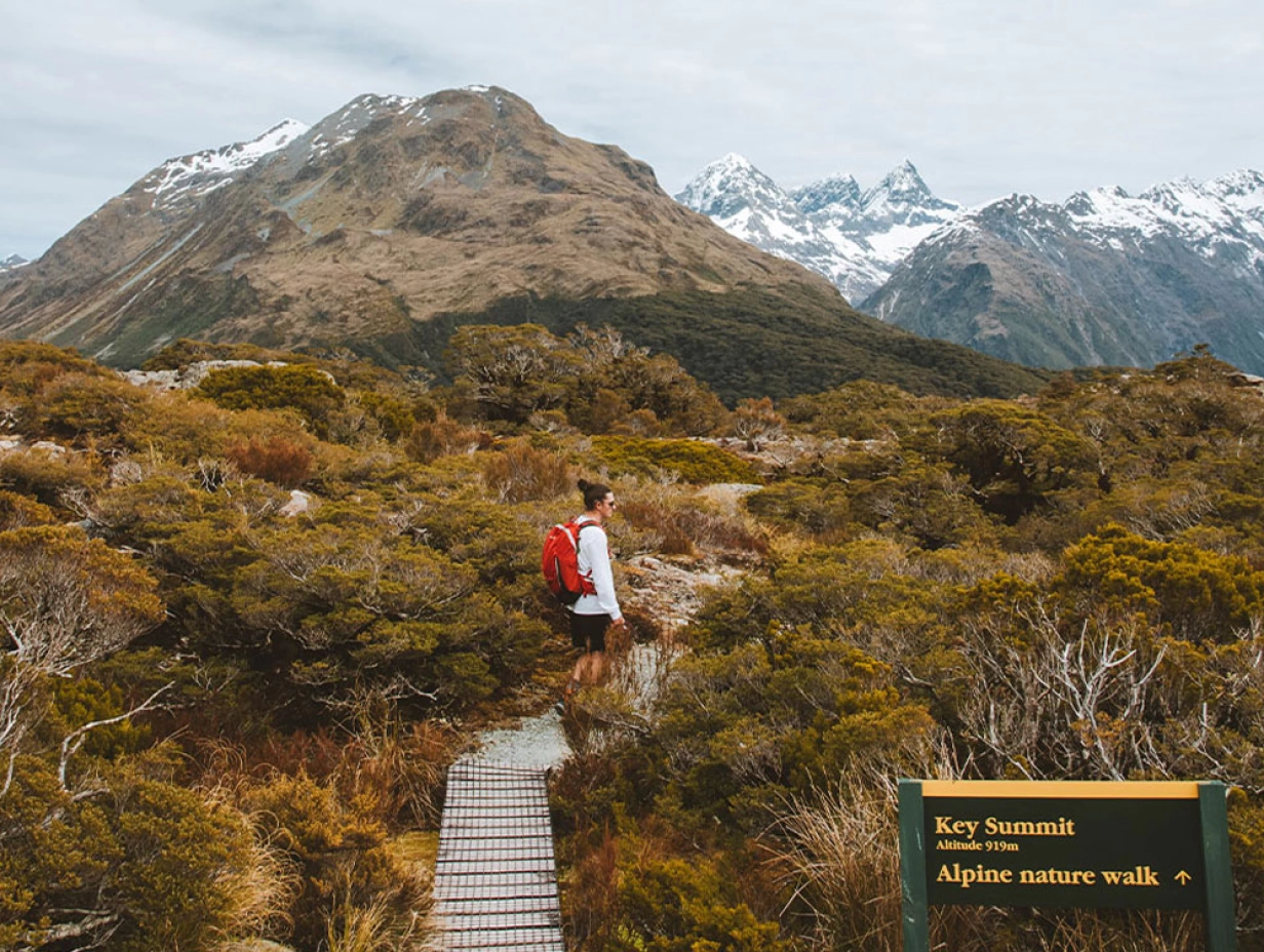 Fiordland Tours - Routeburn / Key Summit Guided Walk