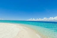 Secret Sandbank Escape & Beach Picnic