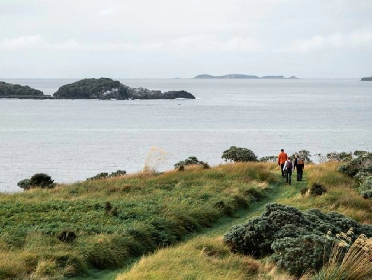 RealNZ - Stewart Island Guided Wilderness Walk