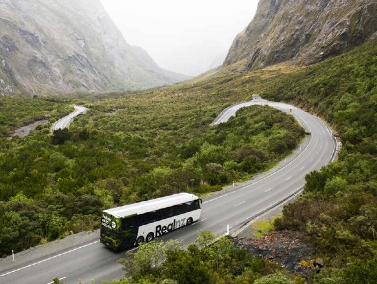 RealNZ - Milford Sound Cruise & Scenic Coach from Queenstown