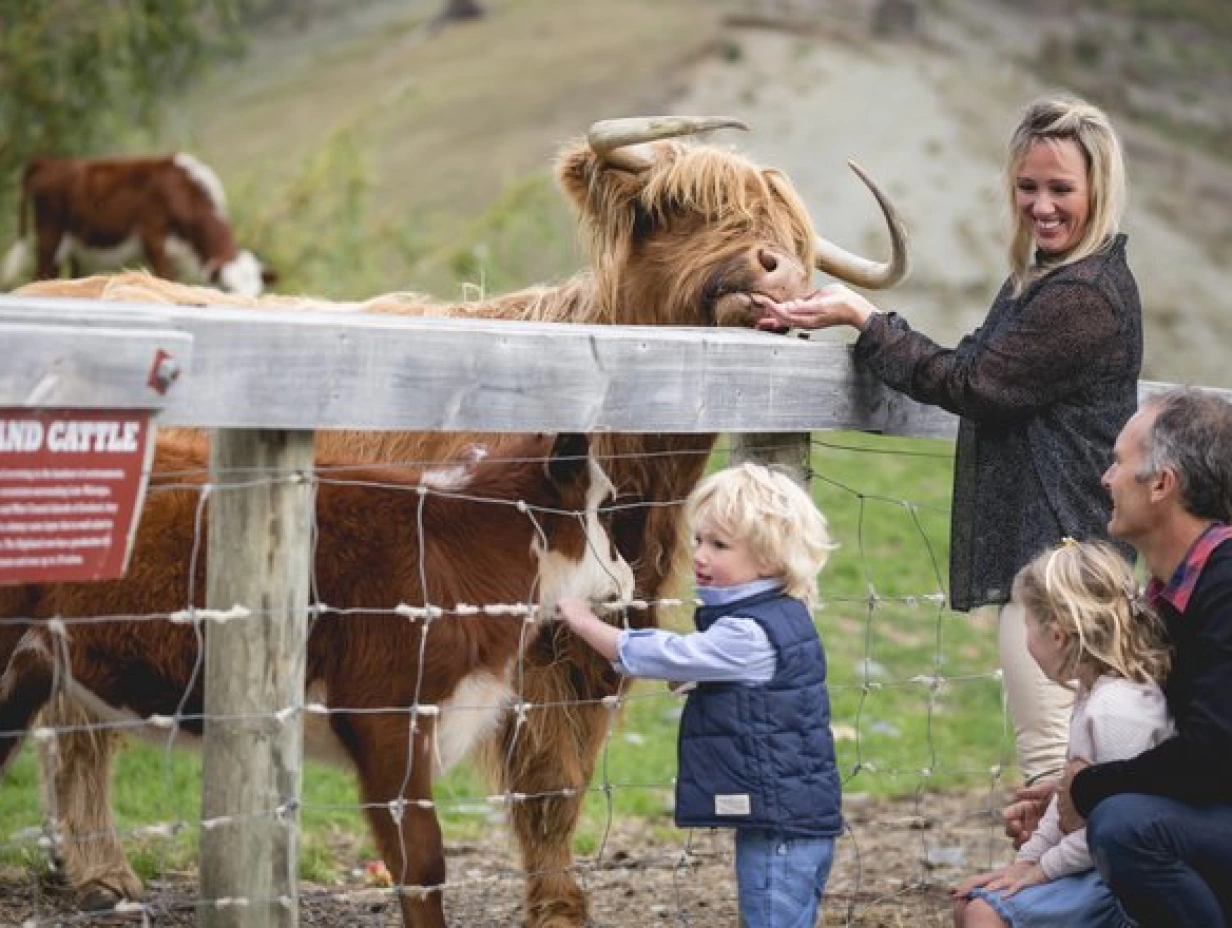 RealNZ - Walter Peak Farm Tour (TSS Earnslaw)