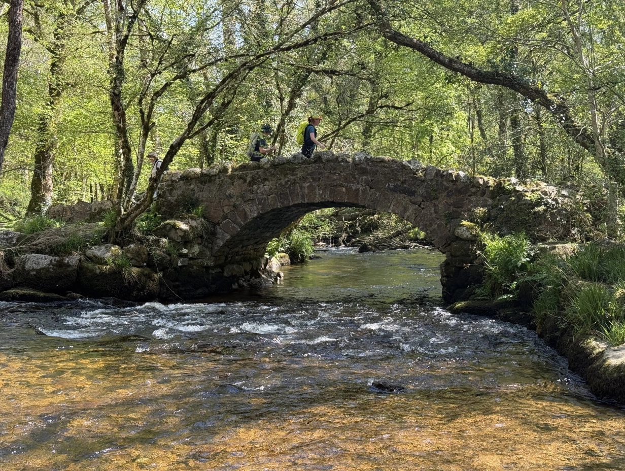 The Dartmoor 600s