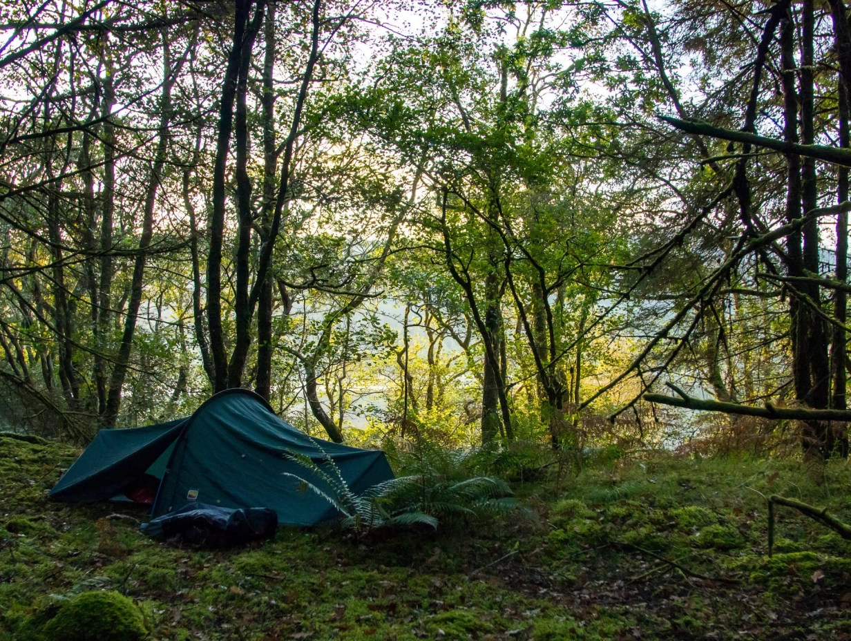 Family-friendly introduction to wild camping adventure - Cairngorms