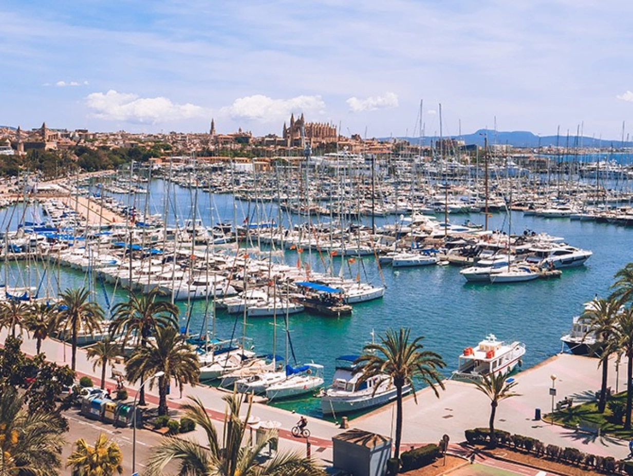 Embroidery with Alison Cole in Mallorca | 2nd to 9th October 2027