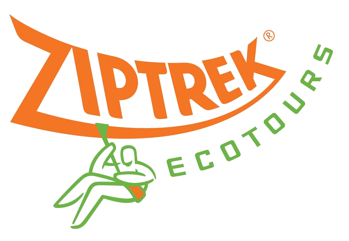 Ziptrek Ecotours